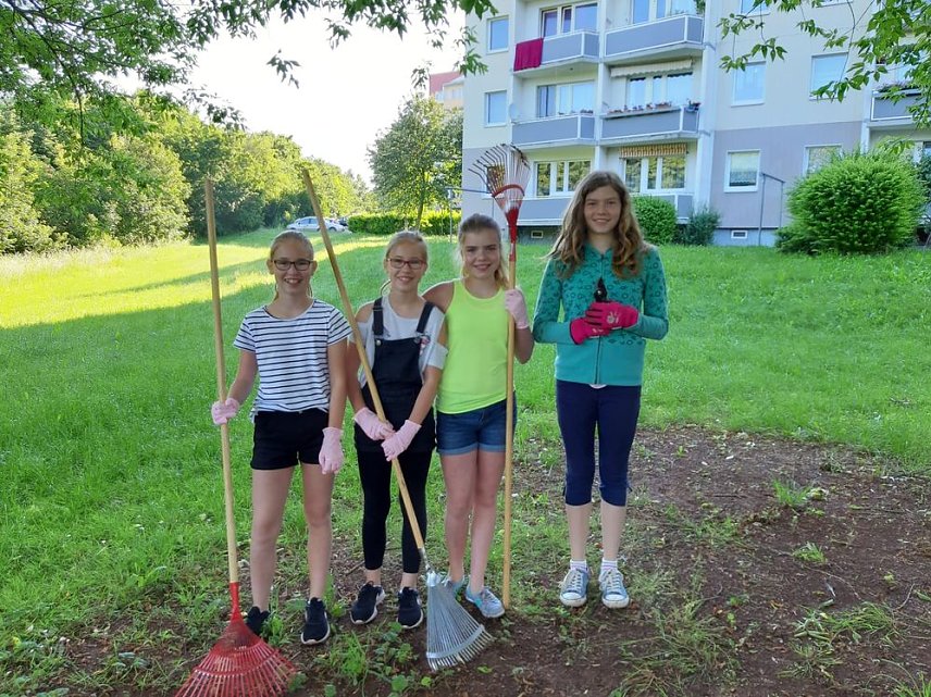 Bild: Neues  aus dem  Garten der Generationen