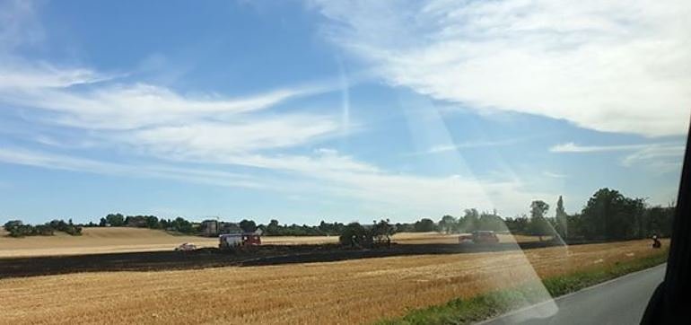Bild: Noch ein Feldbrand
