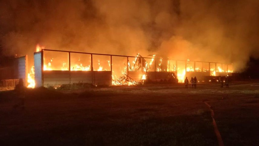 Bild: Die Lagerhalle bei Altengottern brannte vollst&auml;ndig aus