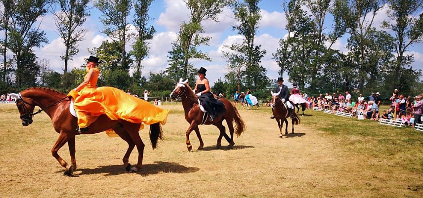 Bild: Gro&szlig;es Ponyfest Gro&szlig;enehrich