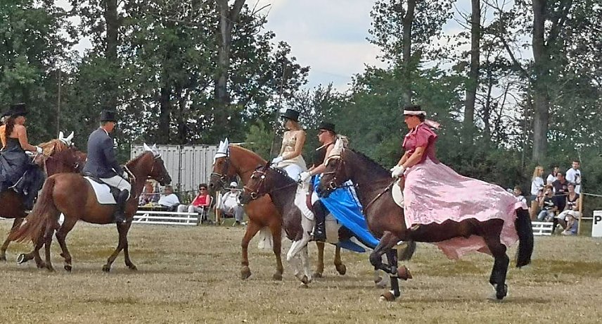 Bild: Gro&szlig;es Ponyfest Gro&szlig;enehrich