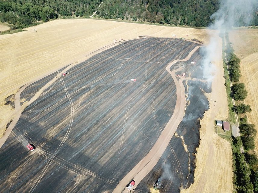 Bild: Brand in Neuheide
