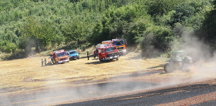 Bild: brand kehmstedt