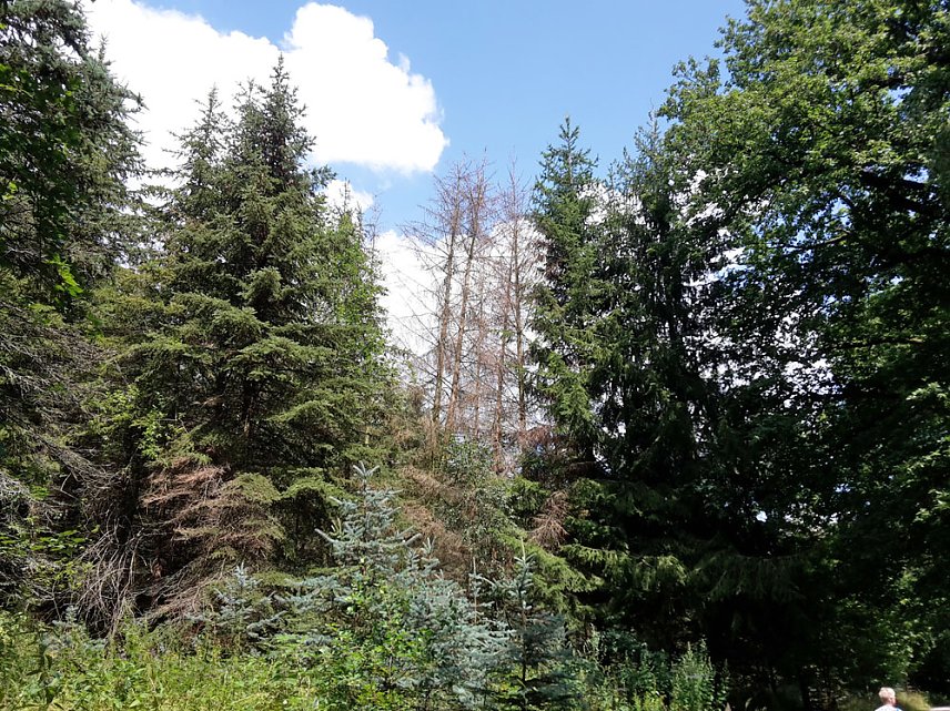 Bild: In der Windleite unterwegs