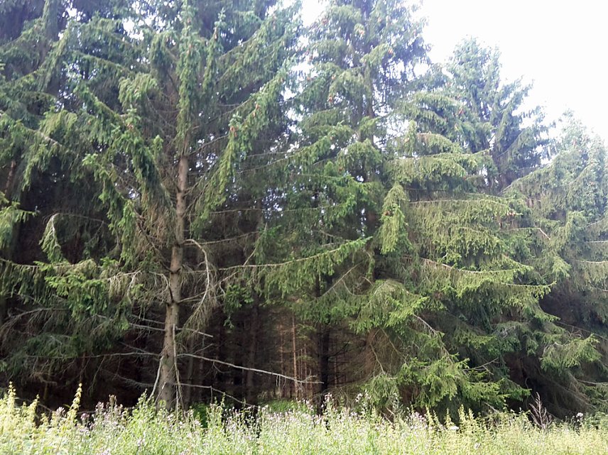 Bild: In der Windleite unterwegs