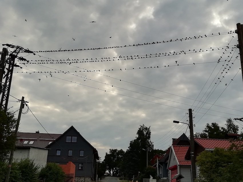 Bild: wetter