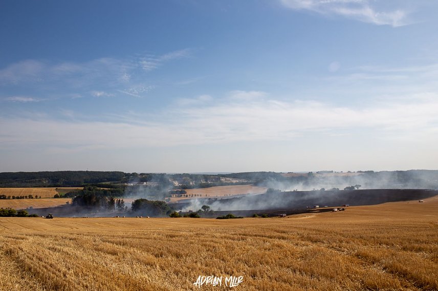 Bild: Fl&auml;chenbrand bei Ellrich