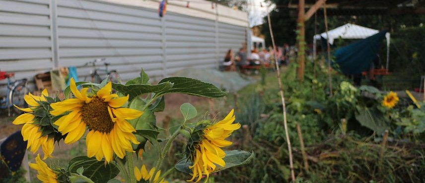 Bild: Sommerfest im Gemeinschaftsgarten hinter dem Horizont