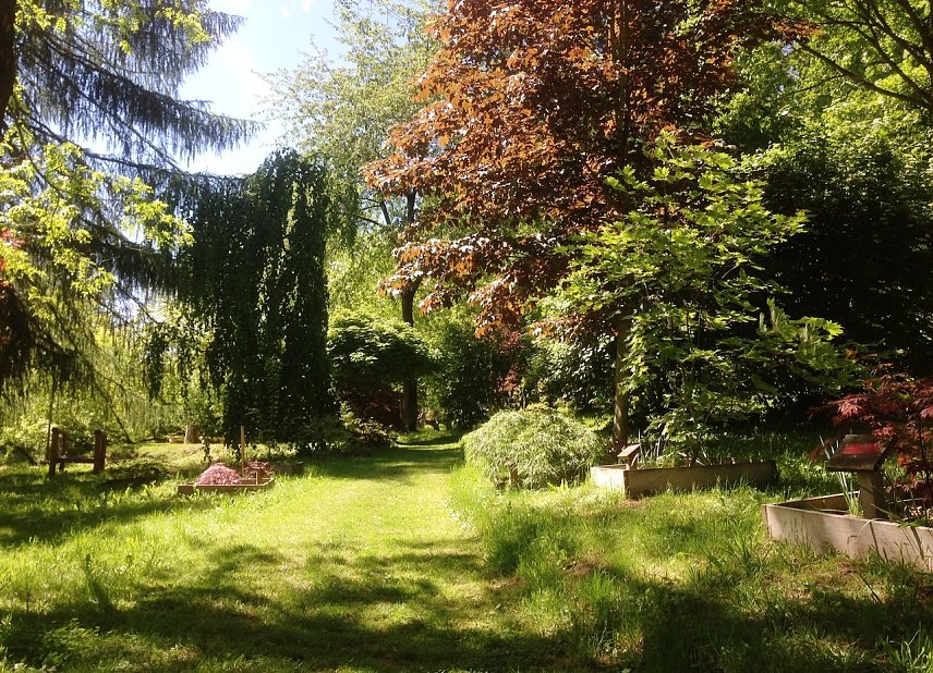 Bild: Ahornpark