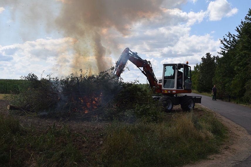 Bild: Feuerbrand