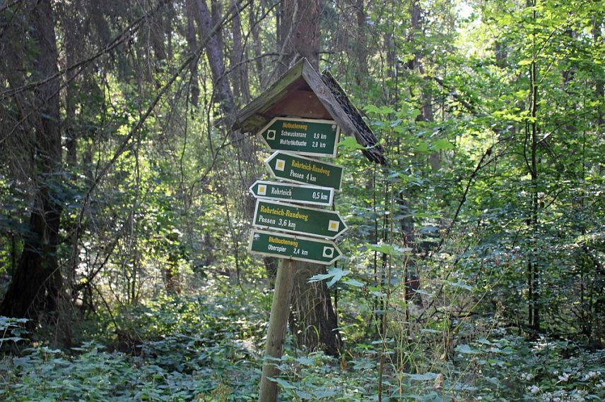 Bild: Wie gef&auml;hrlich wird unser Wald?