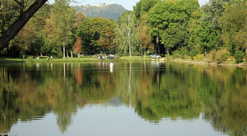 Bild: Weitere Hilfe f&uuml;r den Parkteich