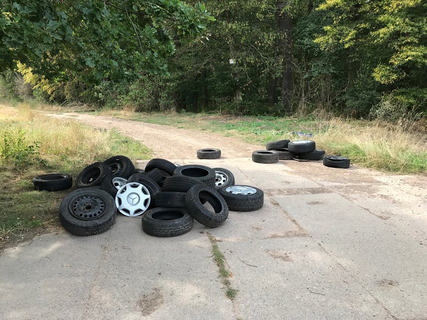 Bild: Am Fronder&ouml;der H&ouml;lzchen, einem Waldst&uuml;ck zwischen Gro&szlig;wechsungen und Wipperdorf, wurden vermutlich am 26./27. August ca. 30 Altreifen illegal abgelagert