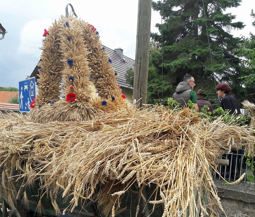Bild: R&auml;dergro&szlig;e Backbleche zum Erntedankfest in Niederspier