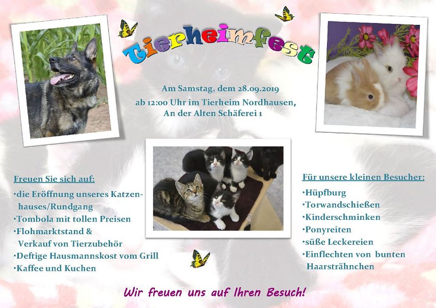 Bild: Jahresfest im Nordh&auml;user Tierheim
