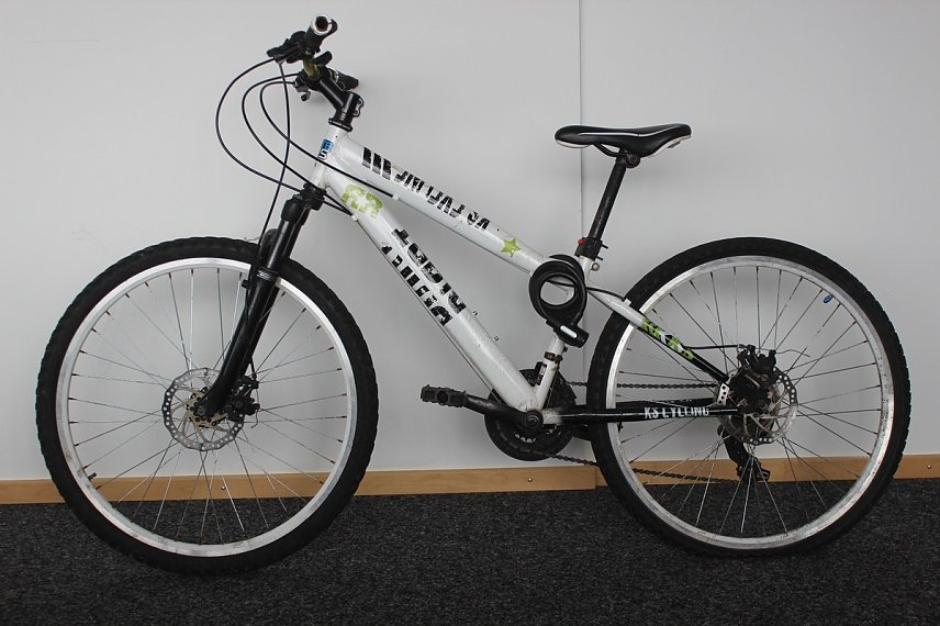 Bild: Wem geh&ouml;rt das Fahrrad?