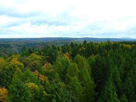 Bild: Blick vom Poppenbergturm