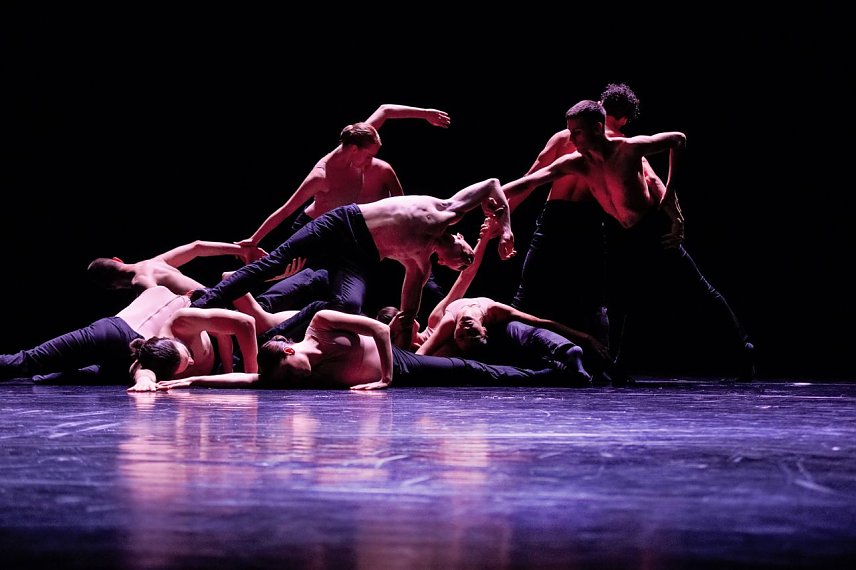 Bild: T&auml;nzerinnen und T&auml;nzer der Ballettcompagnie des Theaters Nordhausen unter der Leitung von Ballettdirektor Ivan Alboresi bei der Ballettgala 2018