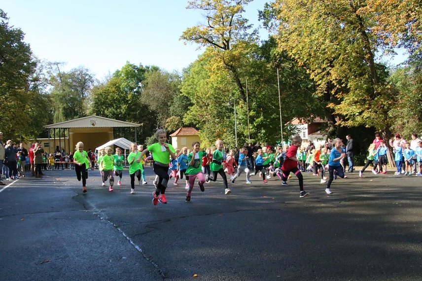 Bild: Herbst-Crosslauf im Gehege