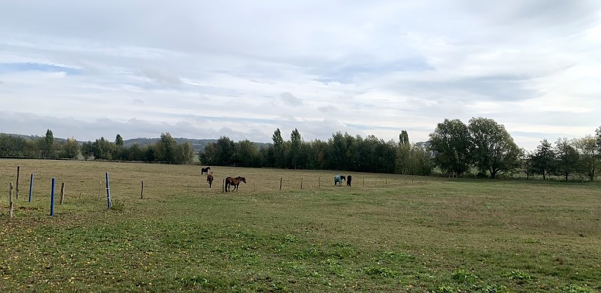 Bild: wetter