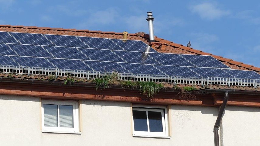 Bild: haus frh-v-stein-str