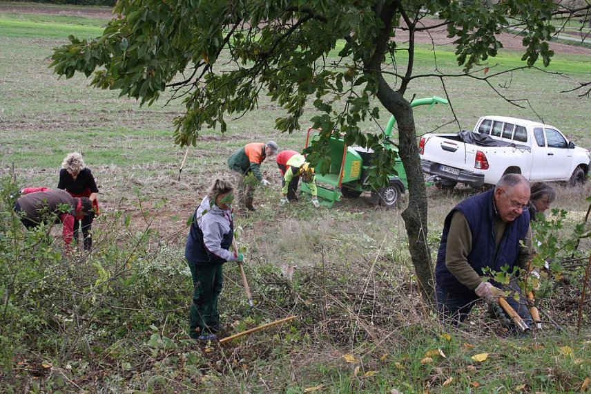 Bild: Aktionstag Landschaftspflege