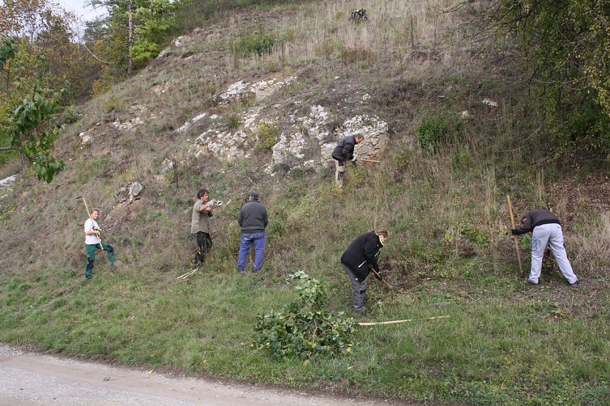 Bild: Aktionstag Landschaftspflege