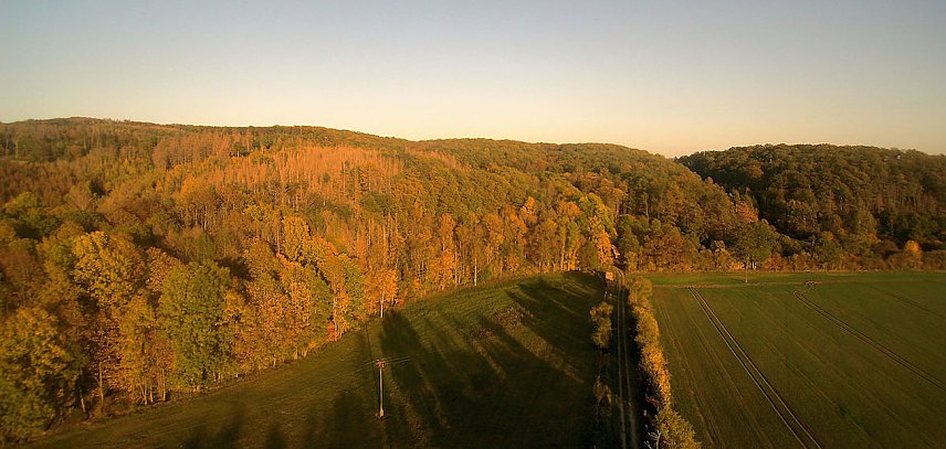 Bild: vorharz