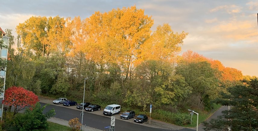 Bild: wetter