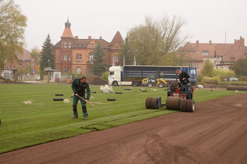 Bild: Rollrasen verlegt