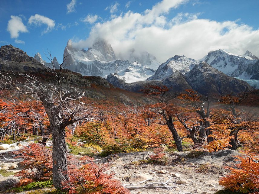 Bild: Patagonien
