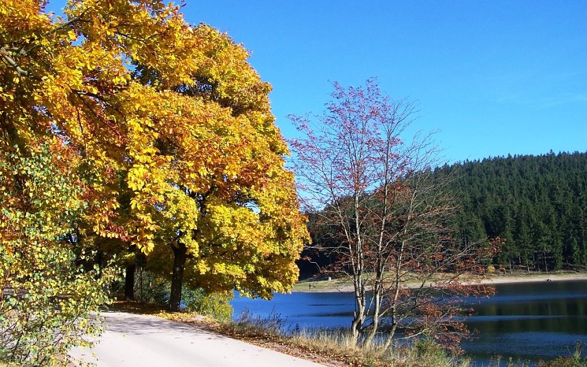 Bild: Herbst