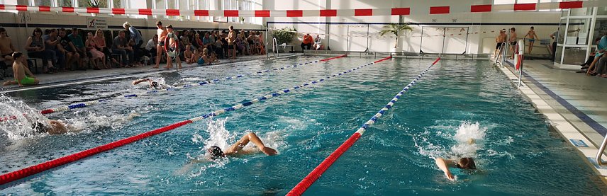 Bild: Kreisjugendspiele im Schwimmen durchgef&uuml;hrt