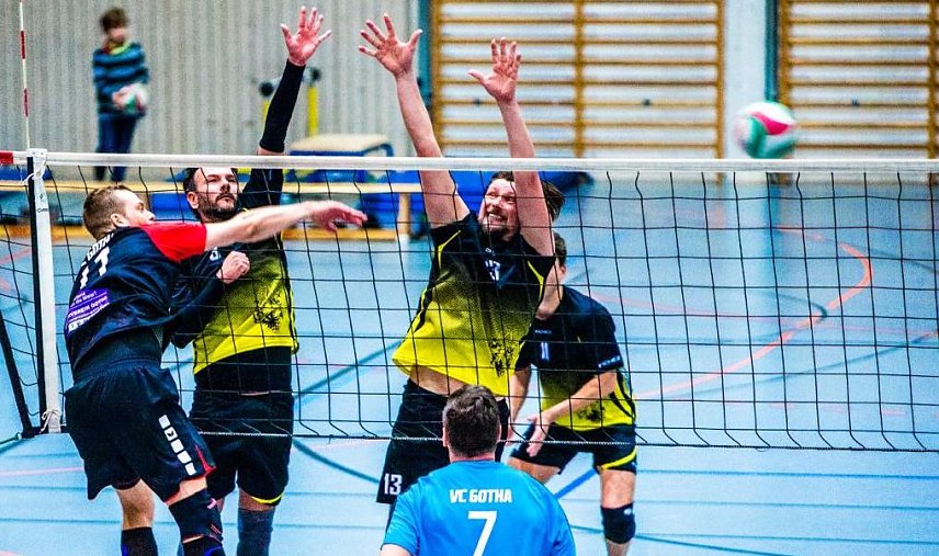 Bild: volleyball