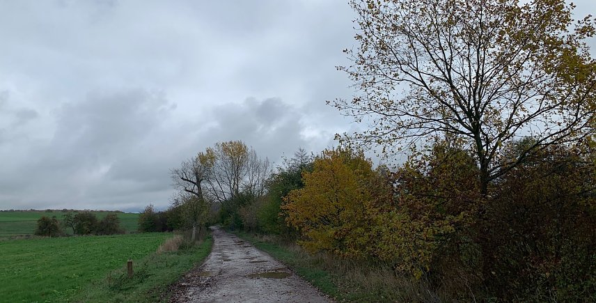 Bild: wetter