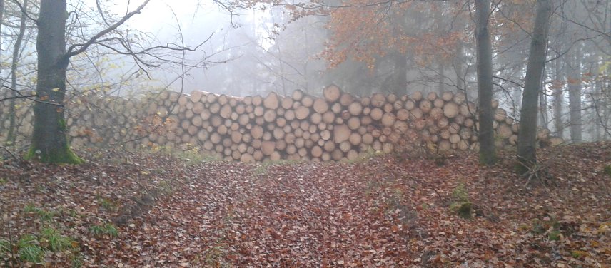 Bild: Wanderweg