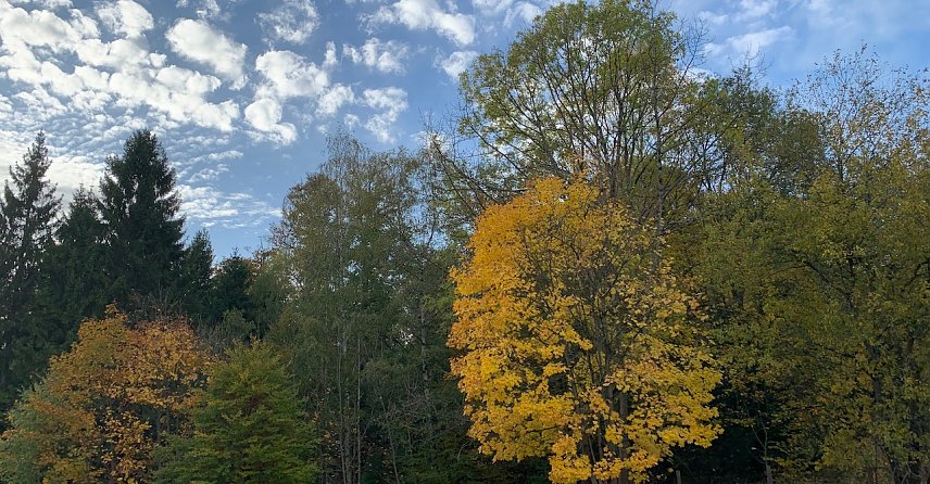 Bild: wetter