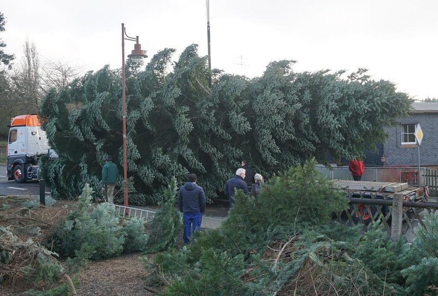 Bild: Deutschlands prominentester Weihnachtsbaum kommt wieder aus Th&uuml;ringen