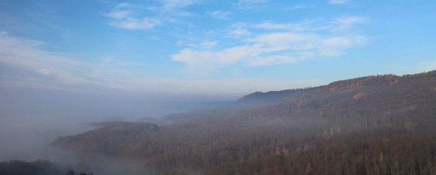 Bild: Der S&uuml;dharz, ein Nebelmeer