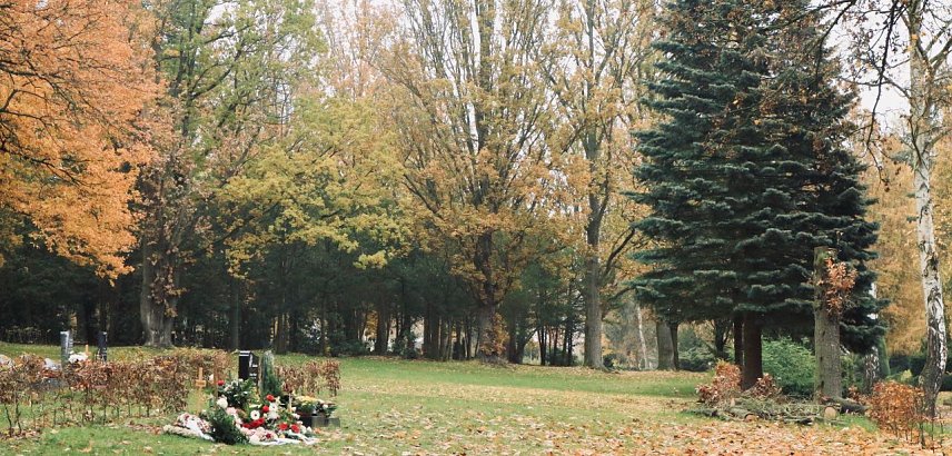 Bild: Nordh&auml;user Hauptfriedhof