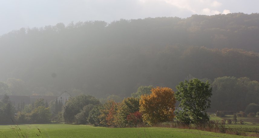 Bild: wetter
