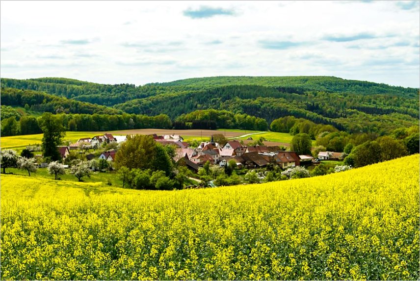 Bild: Eichstruth