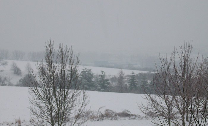 Bild: Schneefall Silvester
