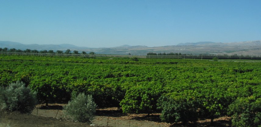 Bild: Israel