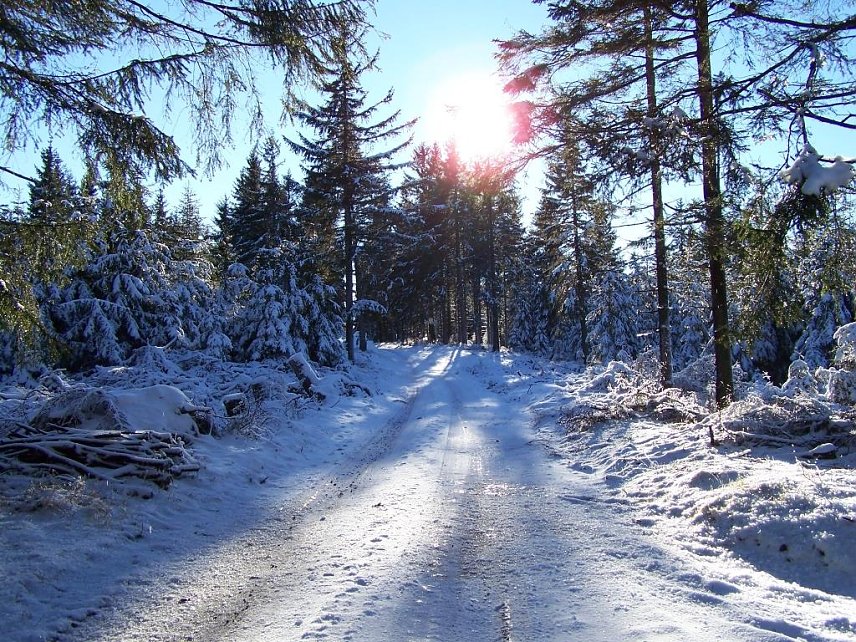 Bild: Winterforstweg