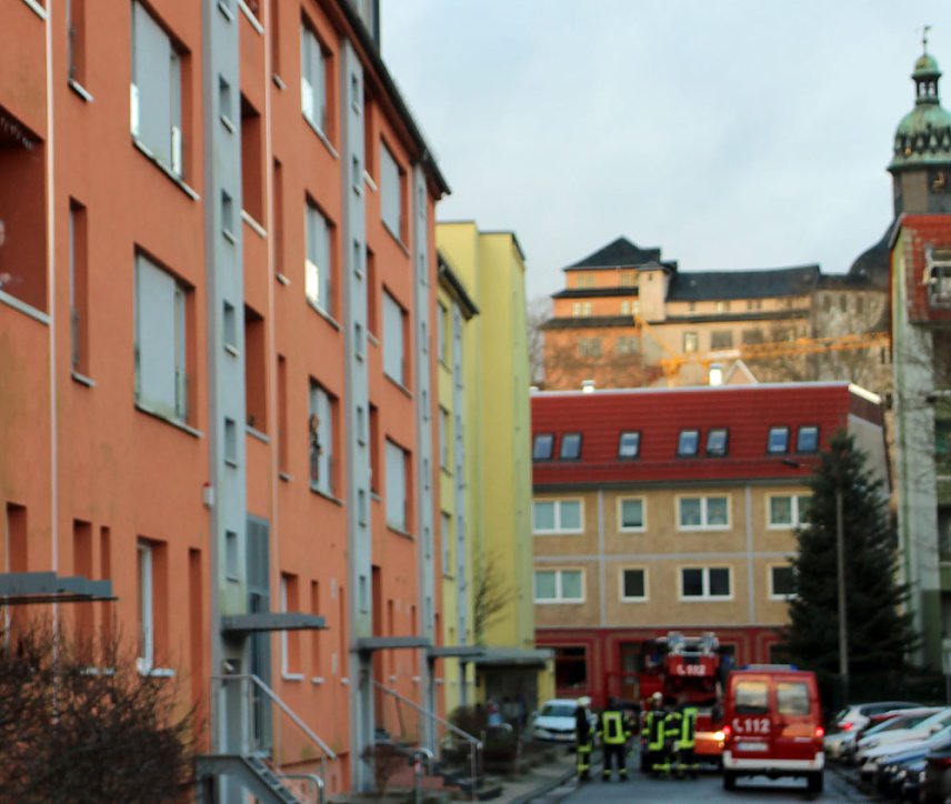 Bild: Pkw weicht Reh aus