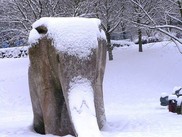 Bild: Winter im Borntal