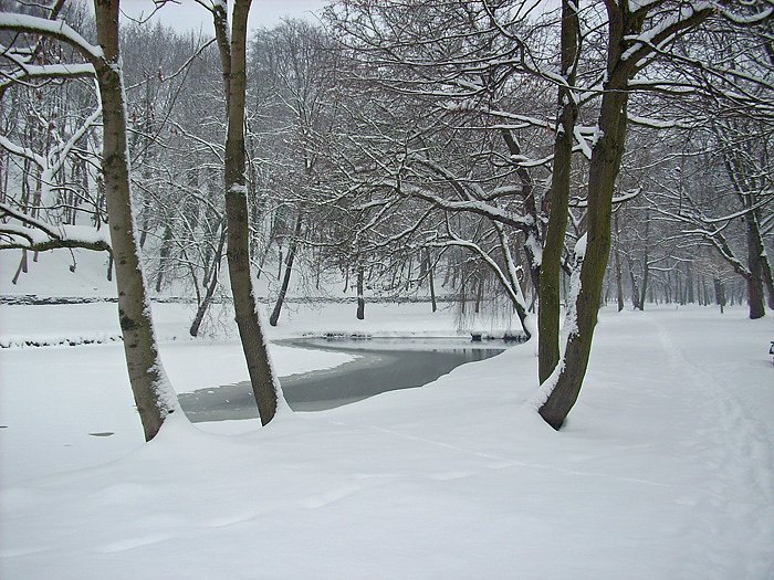 Bild: Parkteich Sondershausen
