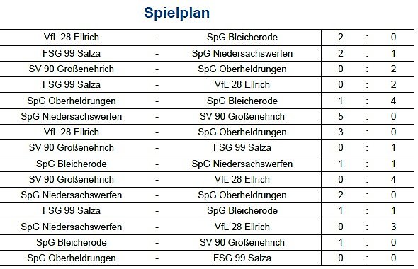 Bild: Endstand Kreismeisterschaft im Hallenfu&szlig;ball der Junioren (1)