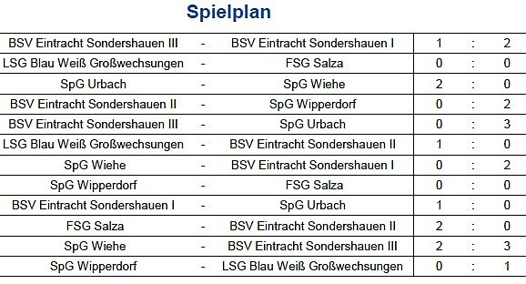 Bild: Endstand Kreismeisterschaft im Hallenfu&szlig;ball der Junioren (3)